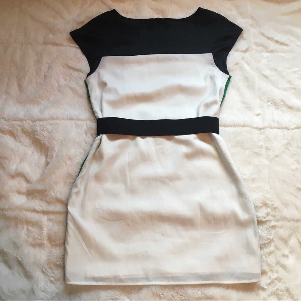Express Dress - Picture 4 of 10